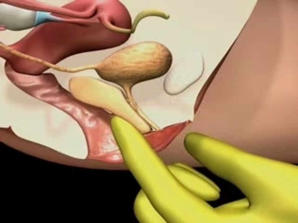 Sex is Fun Movie 01 - Animation of G