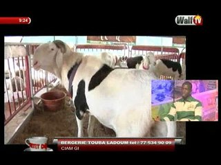 Petit Dej (11 avr.-17): Ciam Gui - Bergerie Touba Ladoum