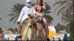 AMAZING DUBAI BEACH, CAMELS ON JUMEIRAH BEACH DUBAI, PUBLIC BEACH