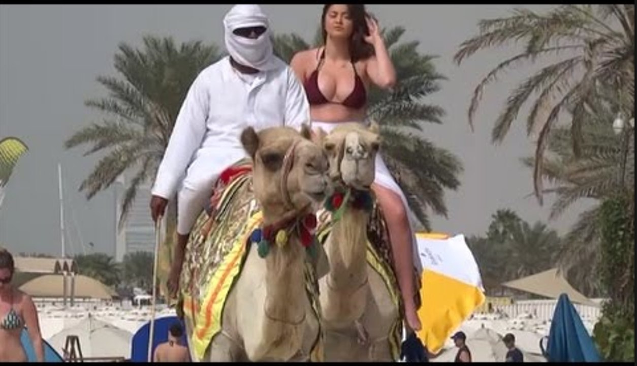 AMAZING DUBAI BEACH, CAMELS ON JUMEIRAH BEACH DUBAI, PUBLIC BEACH