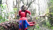 Spiderman usa save Frozen Elsa Snow White Princess Bikini Funny Joker, Superheroes in Real Life