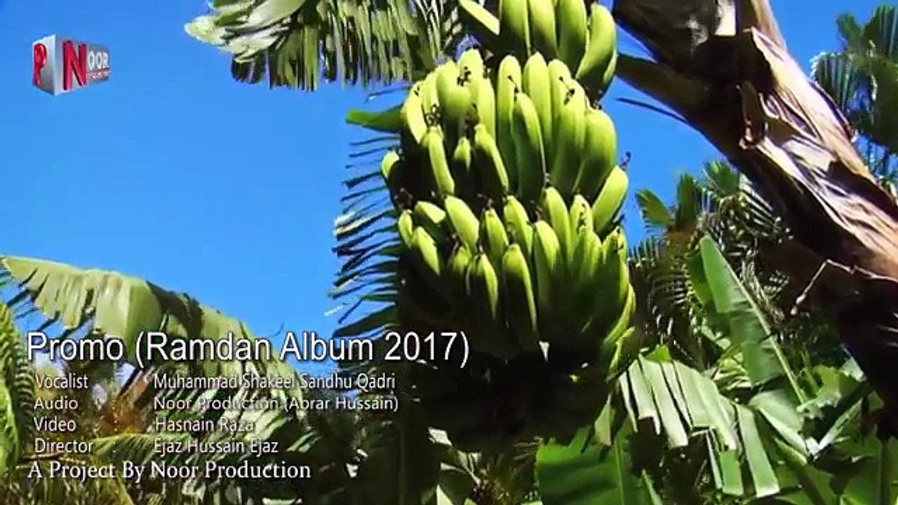 PUNJABI NAAT  Ramdan Album 2017 Muhammad [Shakeel Sandhu Qadri]