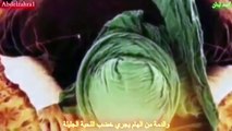 ‫مات مولانا علي ولبس الاسلام ثوب السواد - عظم الله اجوركم يا شيعة علي -مونتاج اسد لبنان‬ - YouTube