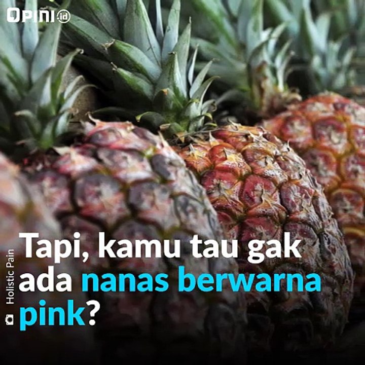 Lucunya nanas pink