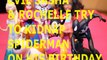 Toy EVIL SASHA & ROCHELLE TRY TO KIDNAP SPIDERMAN ON HIS BIRTHDAY + ELSA ANNA SKYE BARBIE MINNIE MOUSE