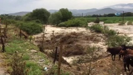 Aydın'da Yaz Yağmuru Sele Döndü