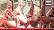 Lahore Main Daily 60 Say 70 Hazar Murda Murghi Supply Ka Inkashaf by Mohsin Bhatti ... How to Identify Dead Chicken