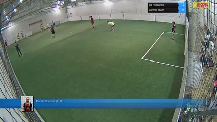 But de Sofiane (2-11) - los Pelicanos Vs Carmel Team - 13/06/17 20:00 - Ligue 2 - Poitiers Game Parc