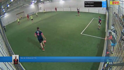 But de Sofiane (2-13) - los Pelicanos Vs Carmel Team - 13/06/17 20:00 - Ligue 2 - Poitiers Game Parc