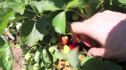 塚原忠のグルメ動画16