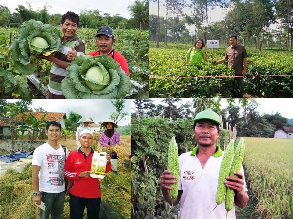 0812-2400-2400 (TSEL ),Obat Tanaman buah Naga