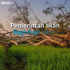 Presiden Jokowi Bagi-Bagi Lahan