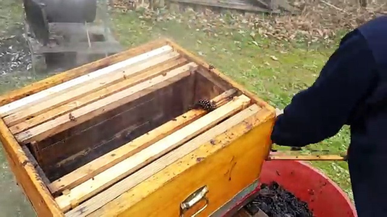 Bal Mumu Petek Eritme