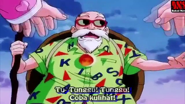 Tortue Géniale pervers Dragon Ball