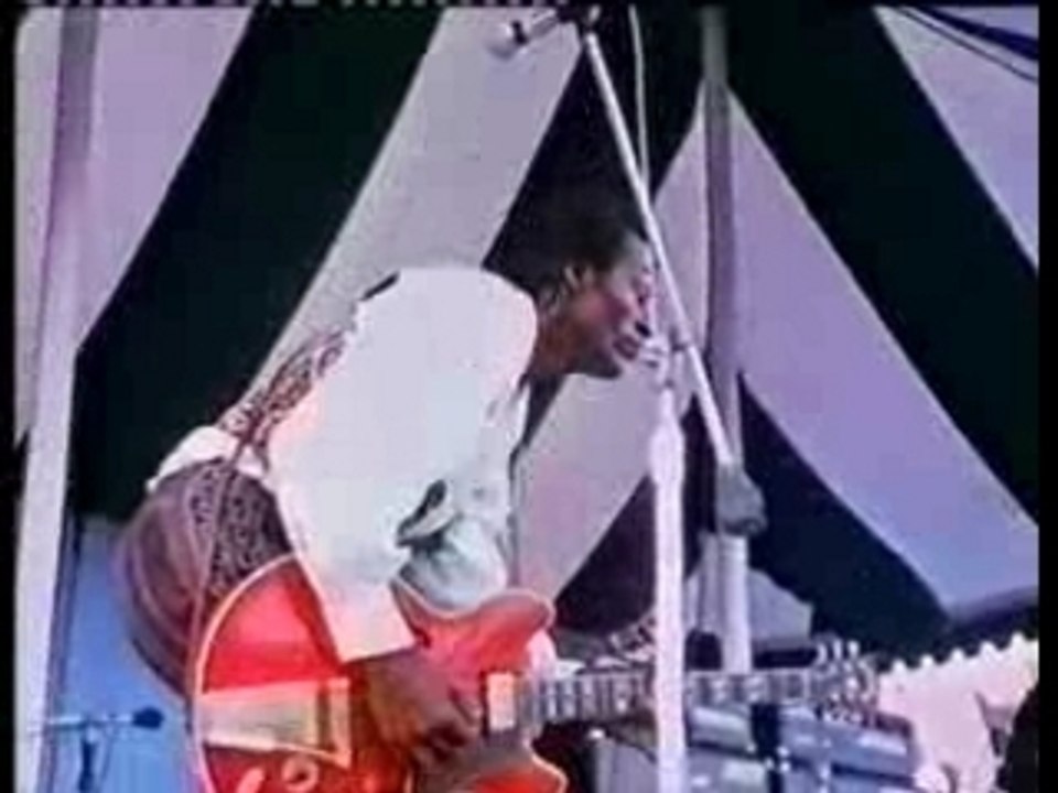 Chuck Berry - Too Much Monkey Business
