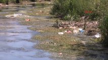 Van Su Kanalına Atılan Çöpler Van Gölü'nü Kirletiyor