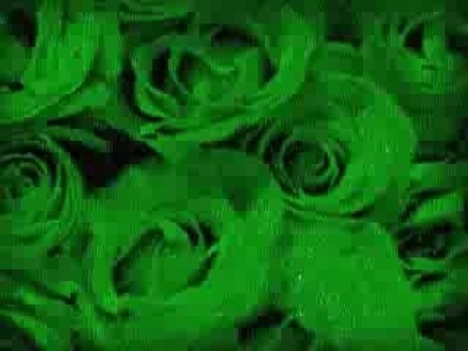 Green Rose