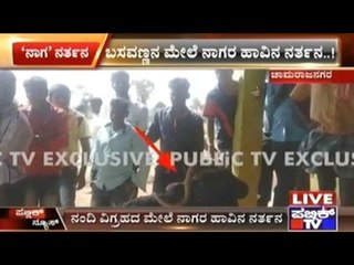 Cobra Dance On A Nandi Statue