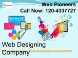 Top Web Designing Company in Noida | Web Pioneers