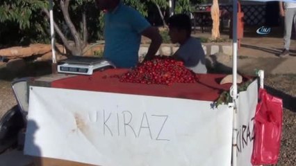Dolu Mardin Kirazını Vurdu