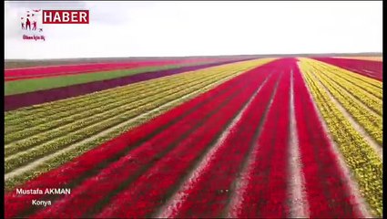 Dronlar Türkiye'yi tanıtıyor