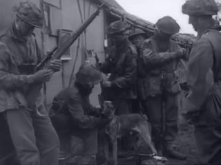 By Sea and Land - A Royal Marine patrol in Normandy (1944)