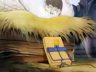 Fine Feathered Friend | Tom And Jarry