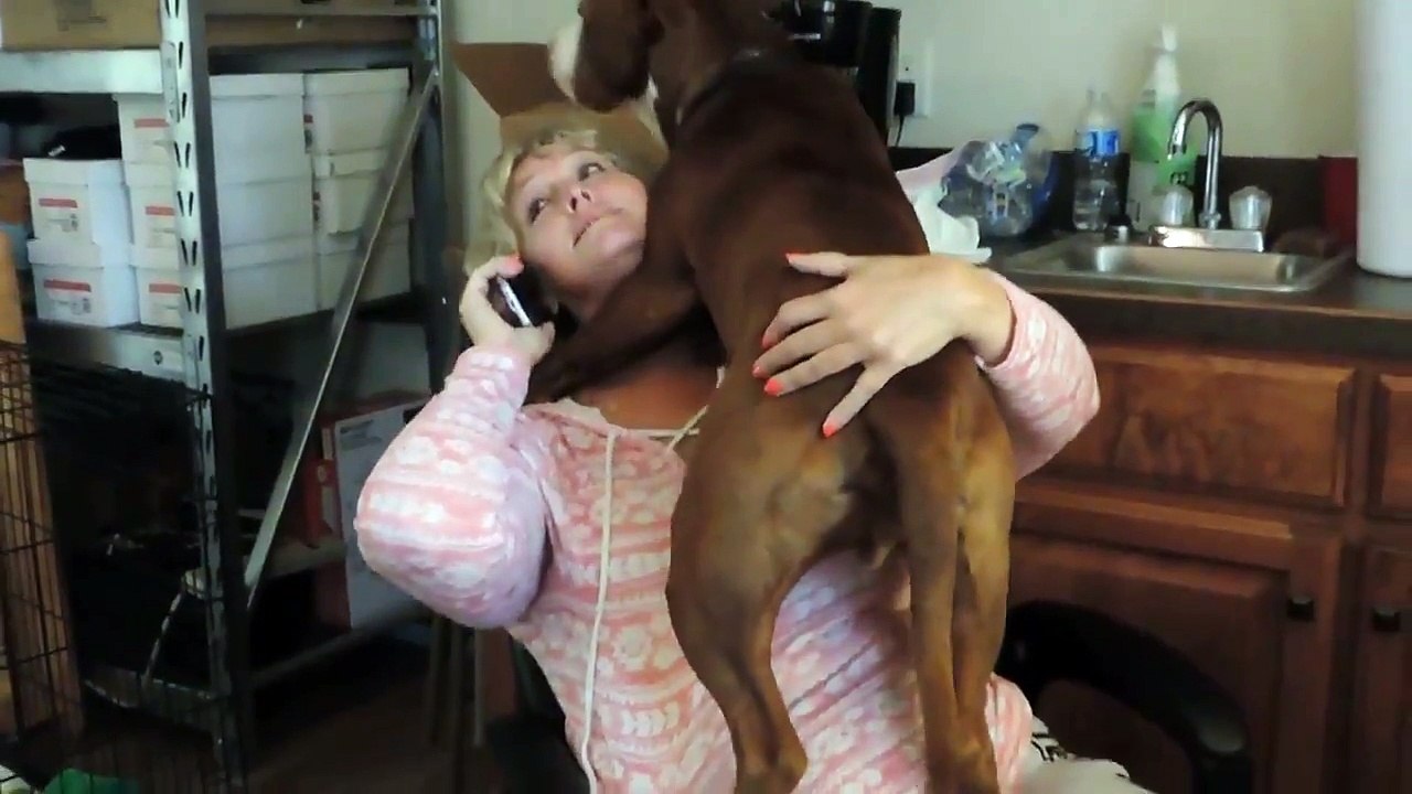 Ce chien sauvé est un peu encombrant...!