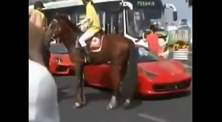 Un cheval qui s'énerve sur une Ferrari.