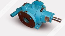 Manufacturer of Stainless Steel Rotary Gear Pump in India