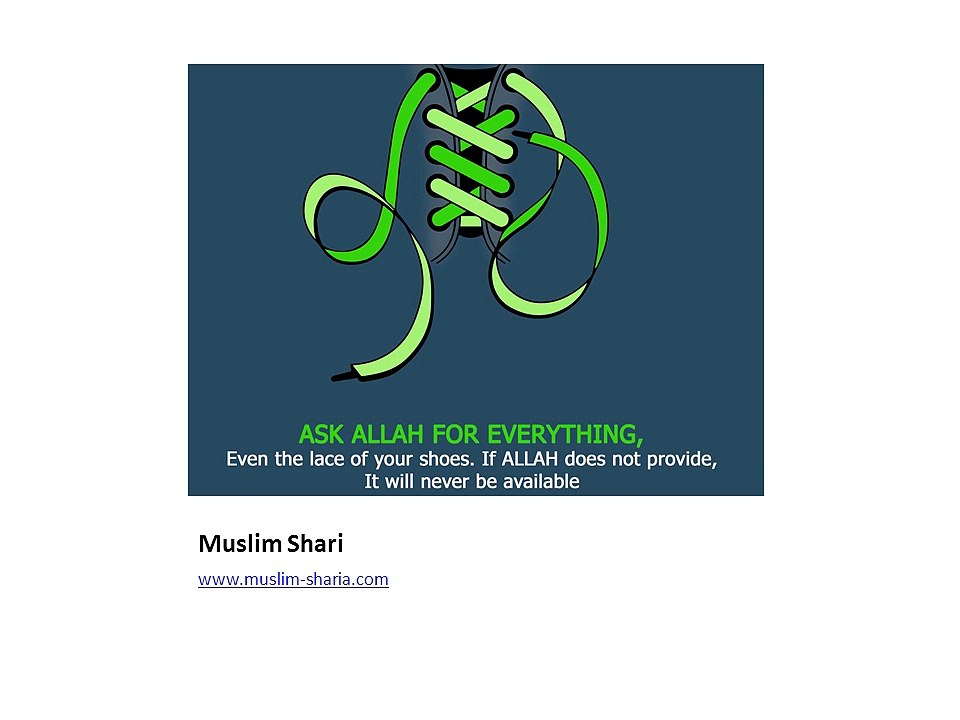 Muslim Sharia