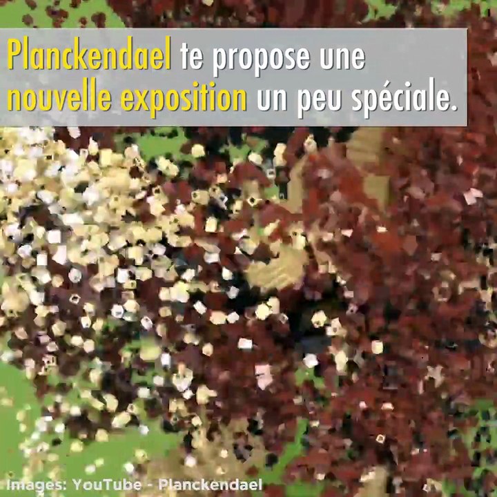 Planckendael te propose une exposition en... LEGO!