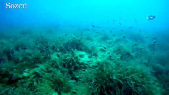Depremden bir gün önce denizaltından çekilen görüntü ürküttü