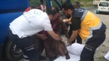 Dağ Çileği Toplamaya Giden ve Kaybolan 90 Yaşındaki Kadın 48 Saat Sonra Bulundu