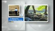 Κτηνοτρόφος: Σαν να έχασα την οικογένειά μου....