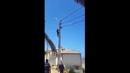 ipte cambaz gibi yürüyen kedi