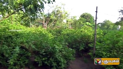 Madurai Melur Pichai Murder