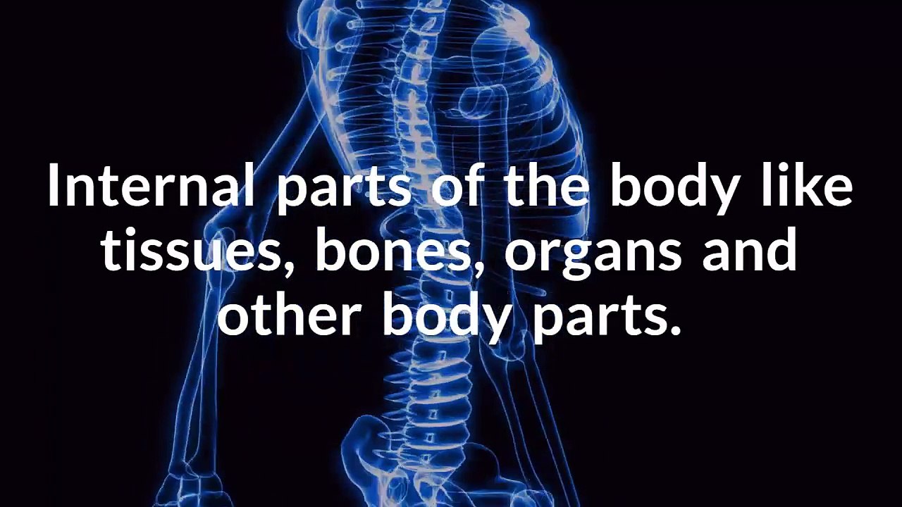 Digital X-ray Radiology Services at Radlabs