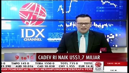 BI Catat Cadangan Devisa Hingga Mei Capai USD124,95 Milyar