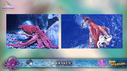 8 BIGGEST Sea Monsters Ever!