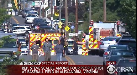 Senatör Steve Scalise vuruldu