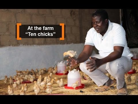 Burkina Faso: At the farm “Ten chicks”