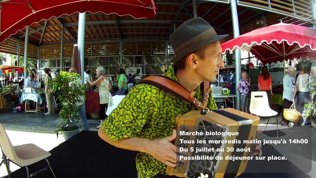 Animations de l'été 2017