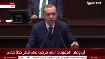 شاهد بالفيديو .. أردوغان: حصار قطار لا يتناسب مع الإسلام