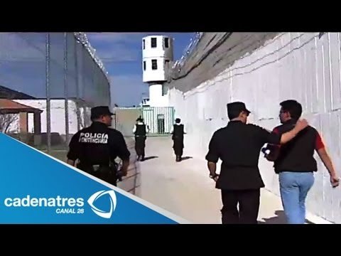 Cárceles mexicanas, donación de órganos y la fiebre del dengue en Semanal 28 05/08/13