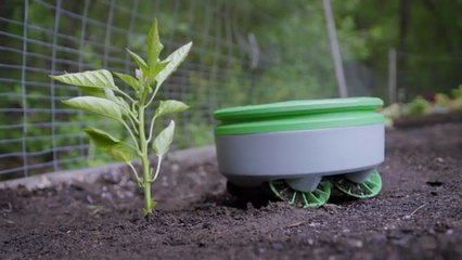 This little robot is like a Roomba for your garden