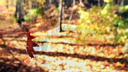 Music video for So Blessed performed by CheZZa.