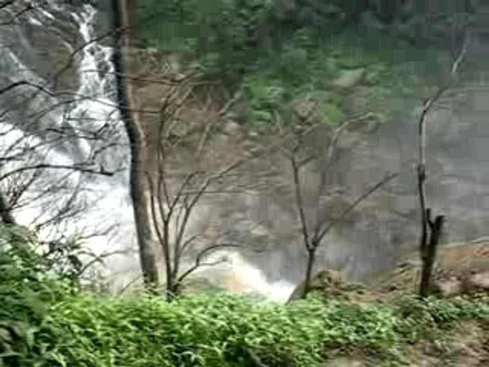 Chute d'eau dans les Nilgiri Hills