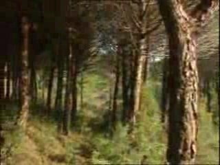 Vacanze da sogno a Bibione