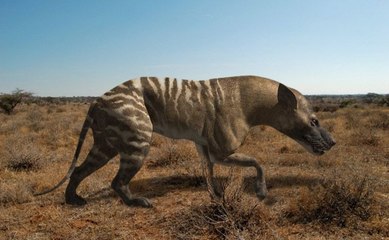 Prédateur de la Préhistoire - les Dents de la mort (2009)